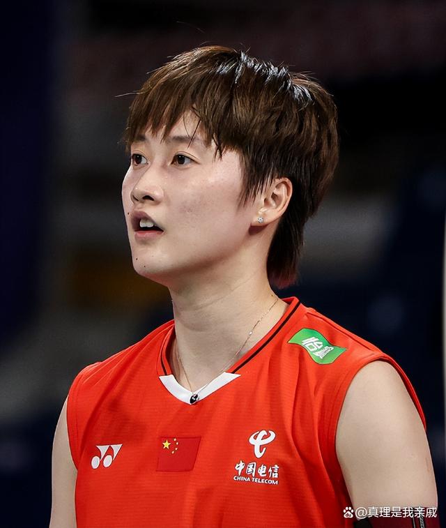 丹麦队完胜法国队，陈雨菲高光表现的简单介绍