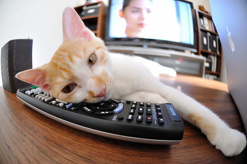 跨界锋芒，当本泽马的足球智慧遇见决胜之夜