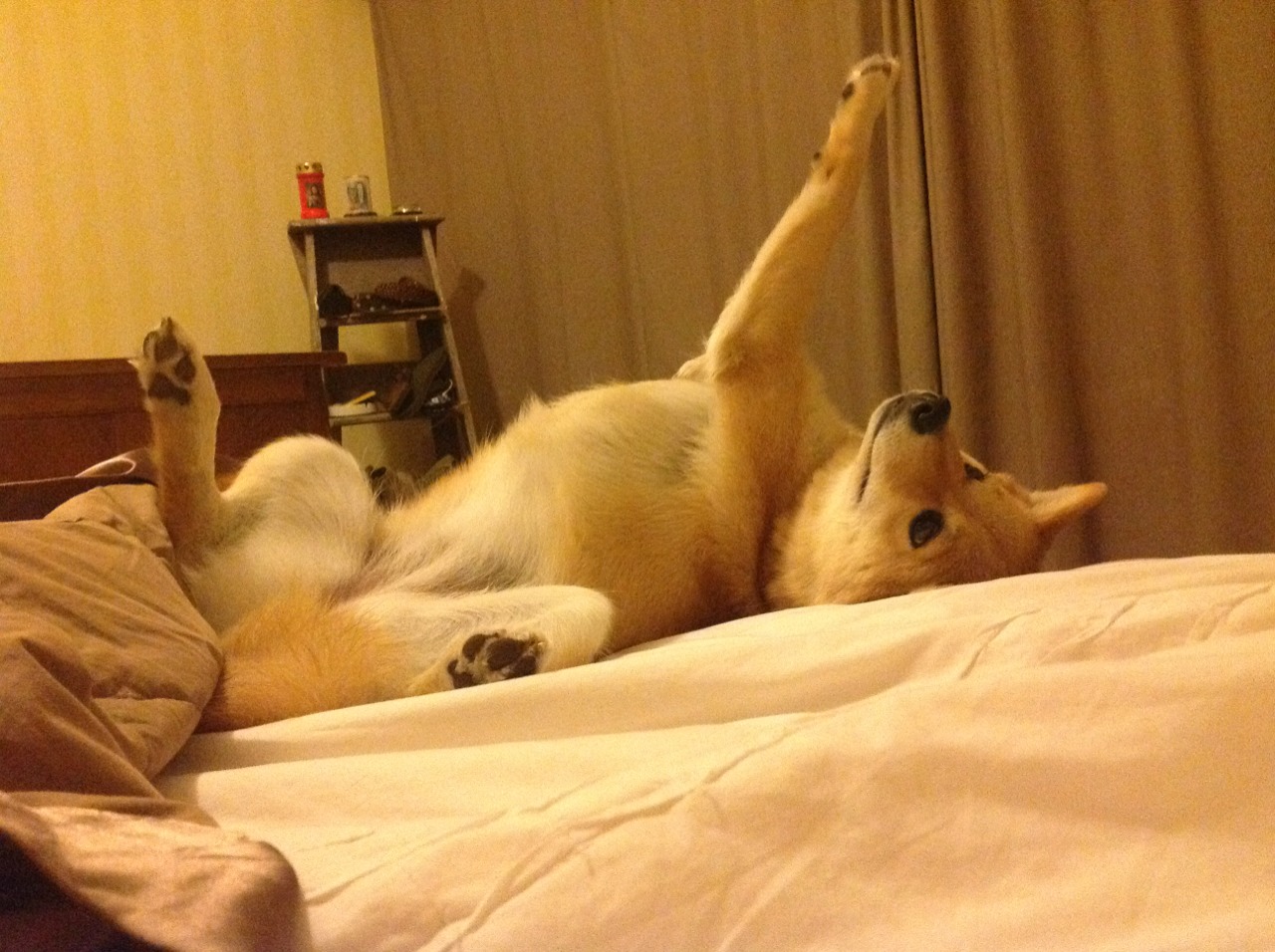 当巨星集体哑火，孙兴慜用一记亚洲弧线改写了德甲争冠的剧本