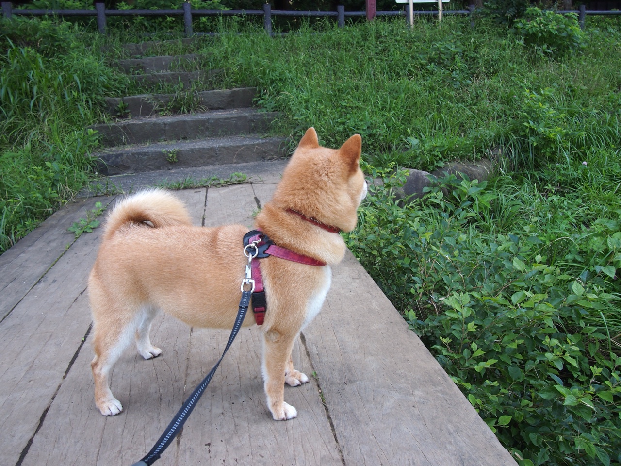 慈善盛宴上的异域对决，德布劳内临阵救主，阿森纳力克厄瓜多尔