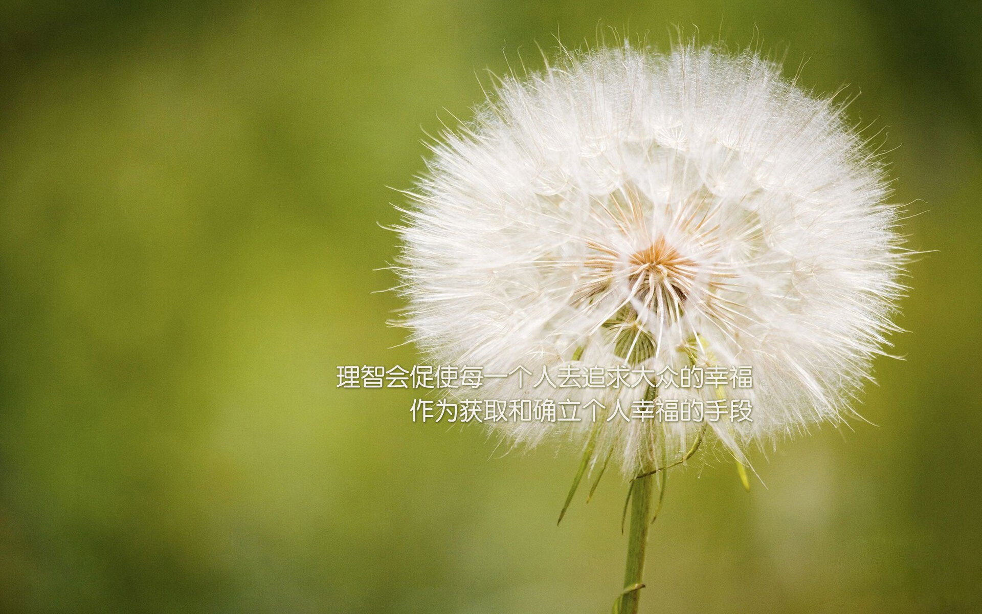 双重超越，从F1赛道到香蕉共和国—当萨拉赫的方向盘对准了华盛顿的收割机