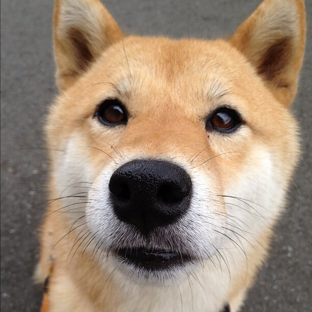 意甲焦点夜的英超回响，拉什福德用关键进球隔空对话