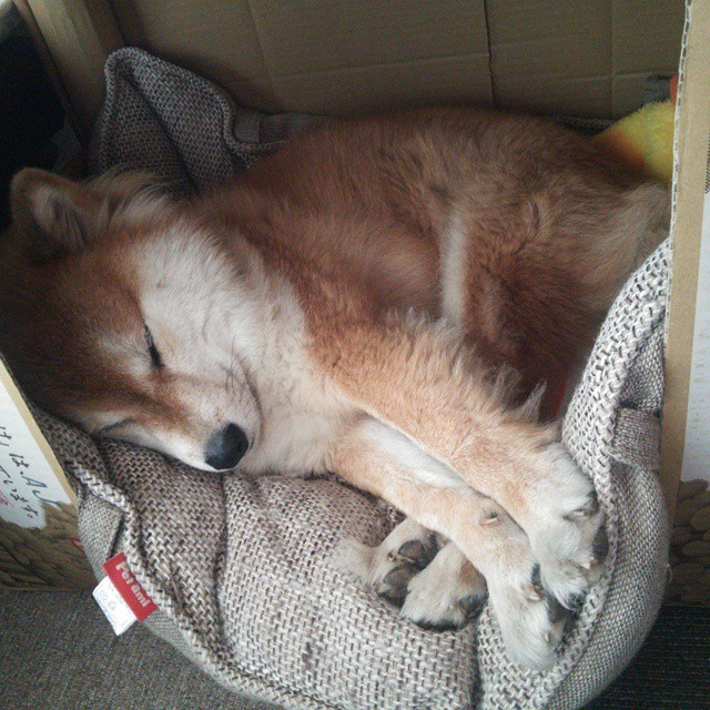 开云体育-黄蜂版的克莱时间，1.8秒绝杀，与一个被低估的关键先生诞生