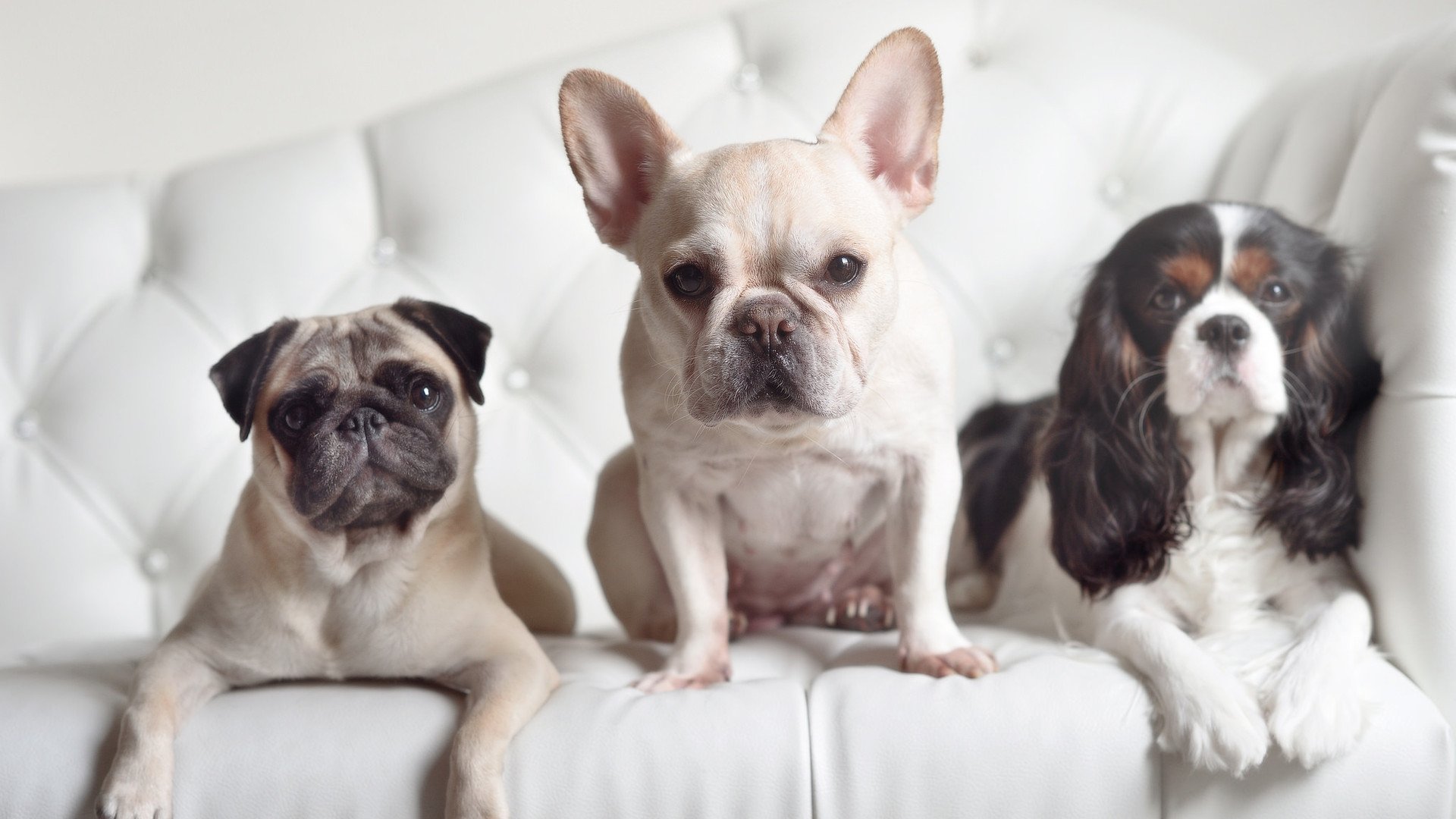 布克的三分雨，当密尔沃基的寒意浇熄东方的火焰