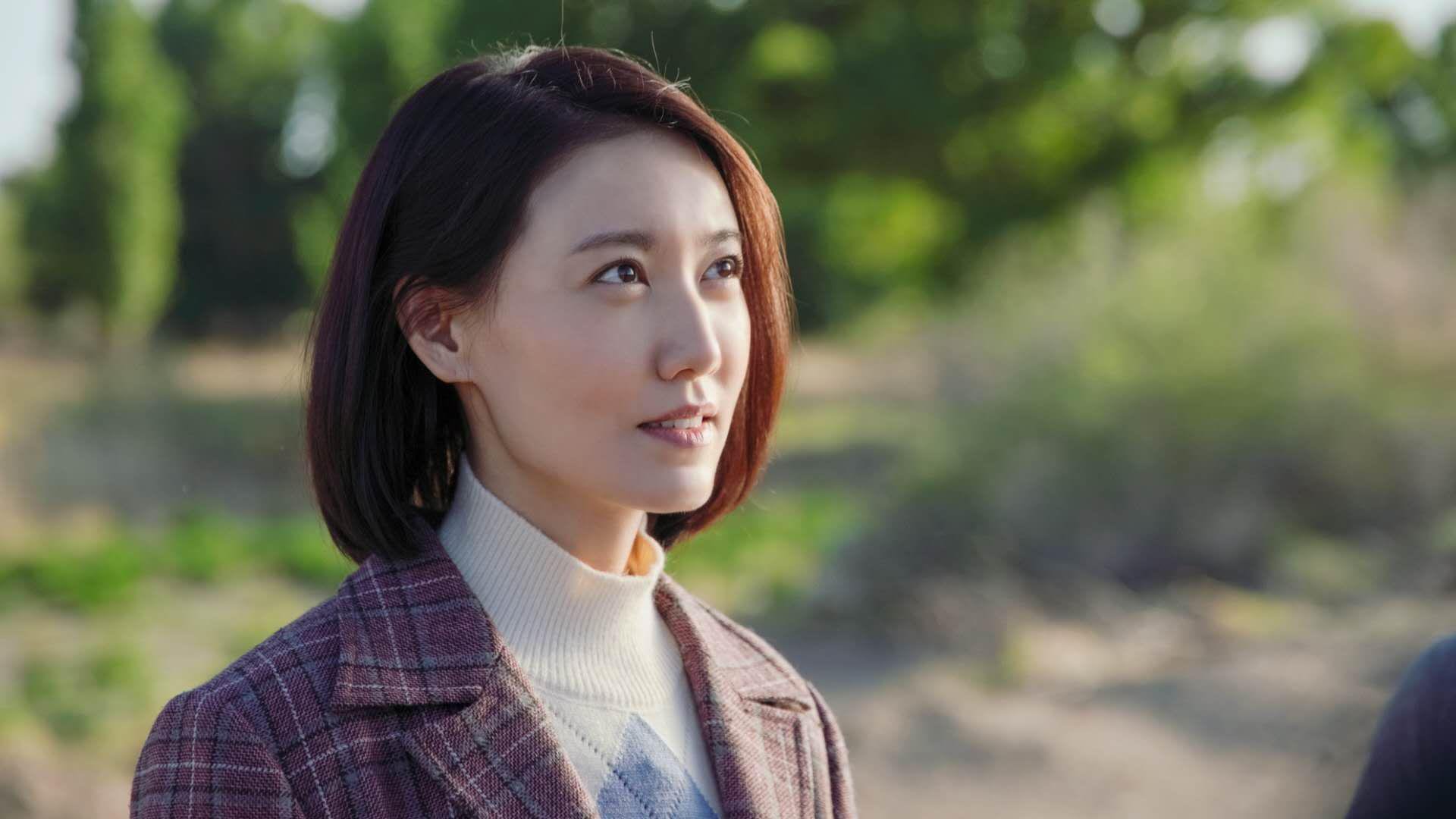 2026世界杯G组之夜,挪威的山呼海啸与佩德里的中场诗篇